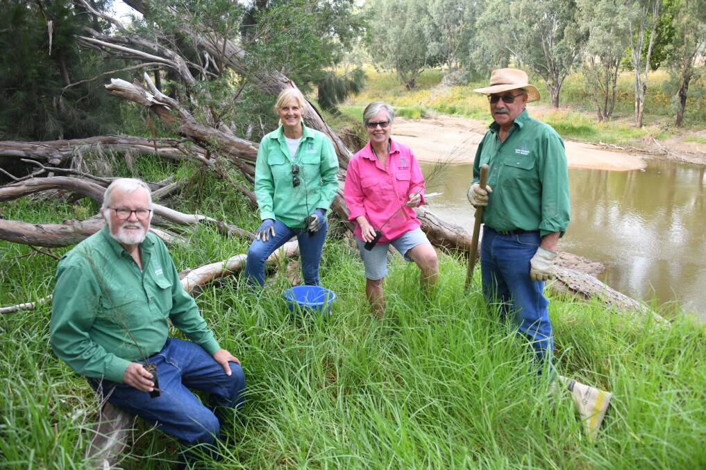 Phil Priest, Libby McIntyre, Annette Priest and Daryl Green of Dubbo Rivercare Group are undertaking rehabilitation works on the banks of the Macquarie River. Picture by Amy McIntyre