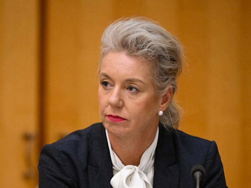 Bridget McKenzie wants an inquiry into a government decision to block extra Qatar Airways flights. (Lukas Coch/AAP PHOTOS)